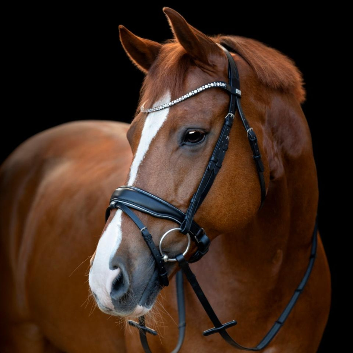 HorseGuard Trenser