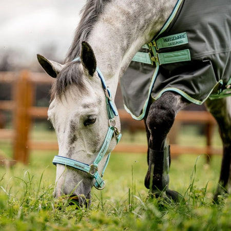 Horseware Tilbehør til Hesten