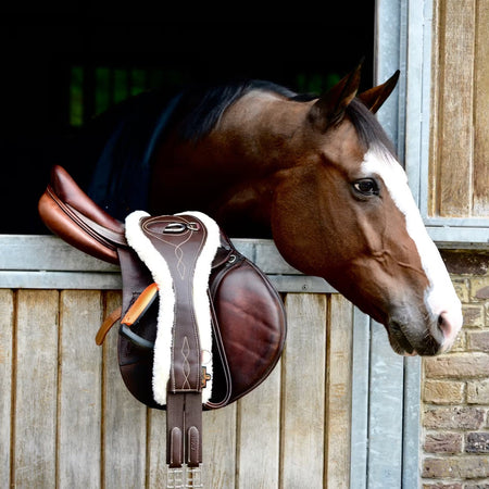 Kentucky Gjorde