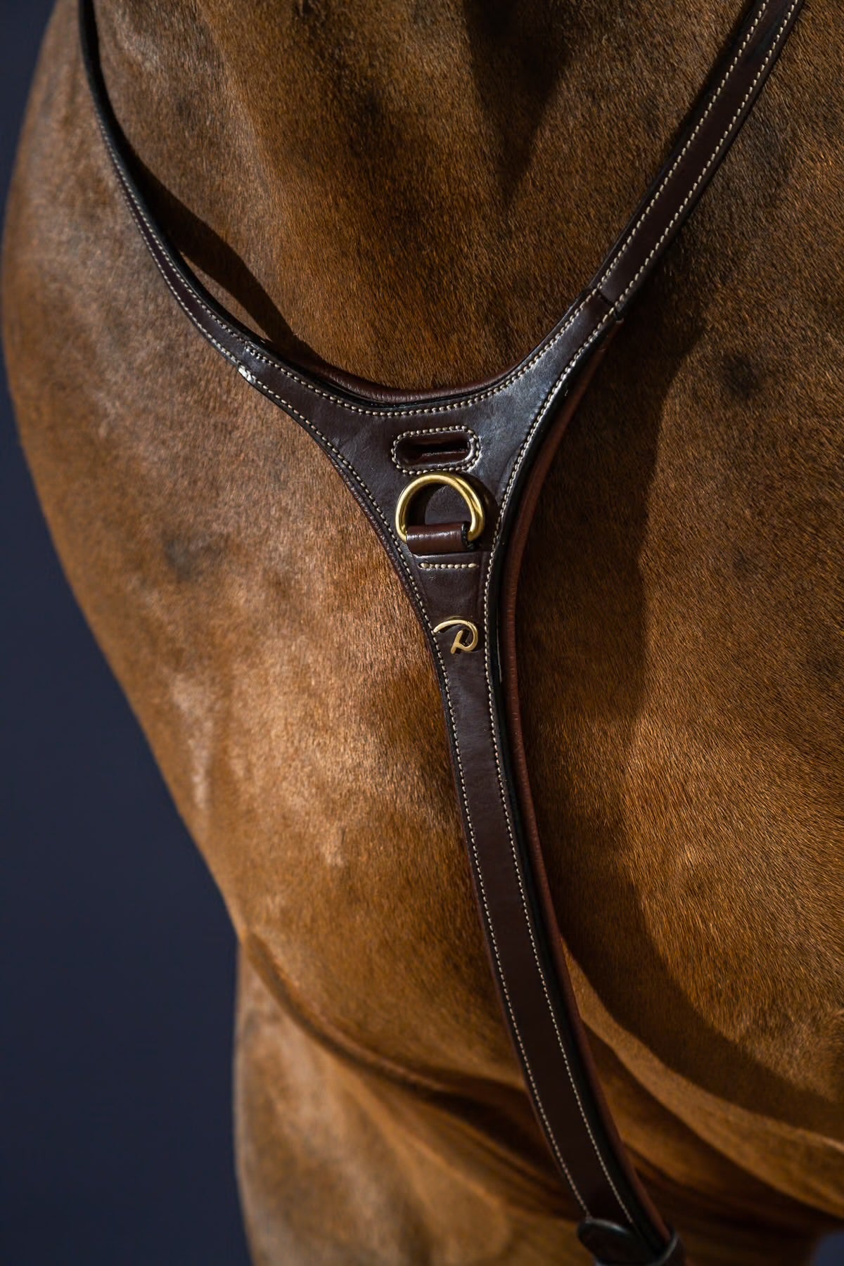 Dyon Yoke Martingale - Brun/Messing