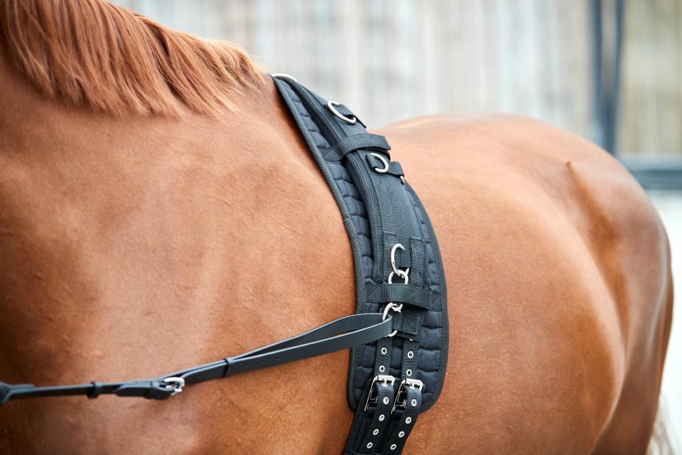 HorseGuard Longeringsgjord - Sort