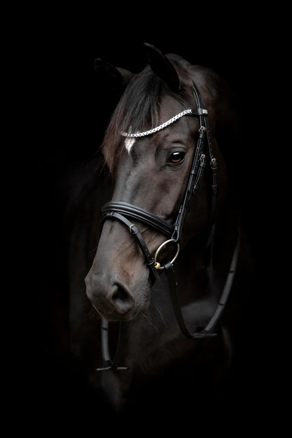 HorseGuard EMI 24.1 Trense M. Kombineret Næsebånd - Sort