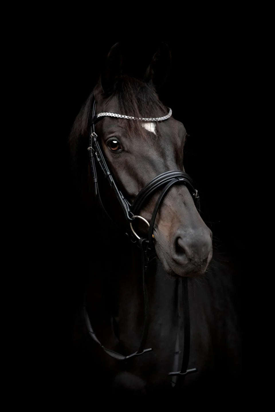 HorseGuard EMI 24.1 Trense M. Kombineret Næsebånd - Sort