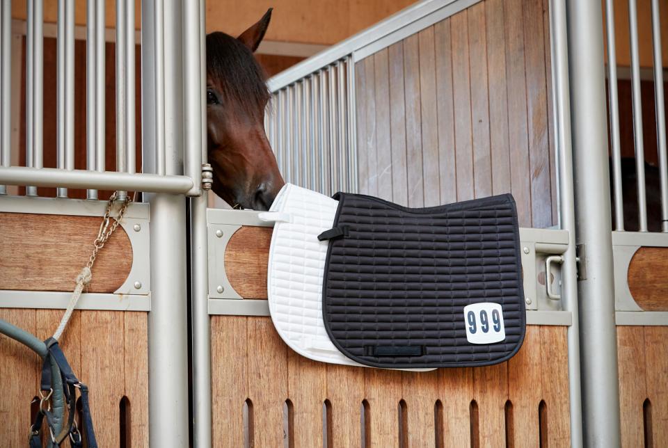 HorseGuard Nationality Springunderlag M. Nummer - Sort