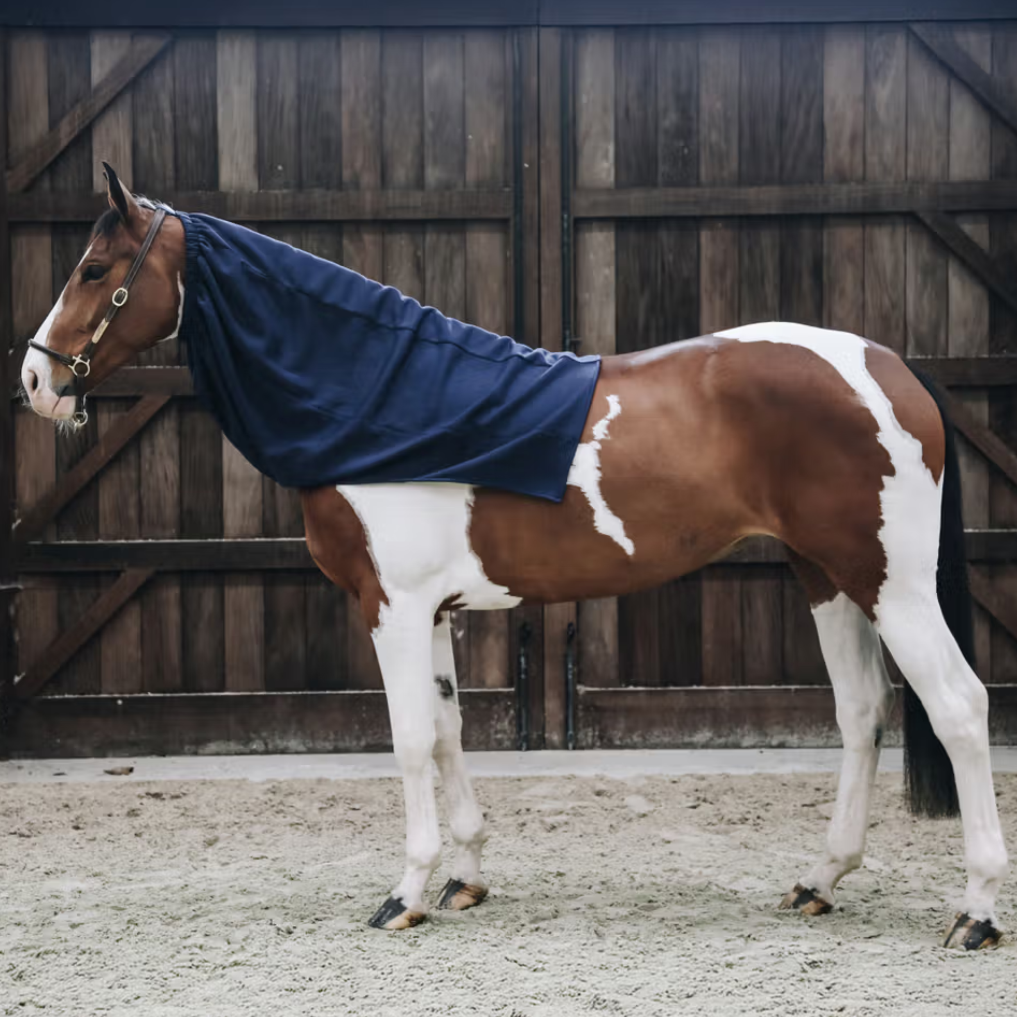 Kentucky Cooler Fleece Scarf