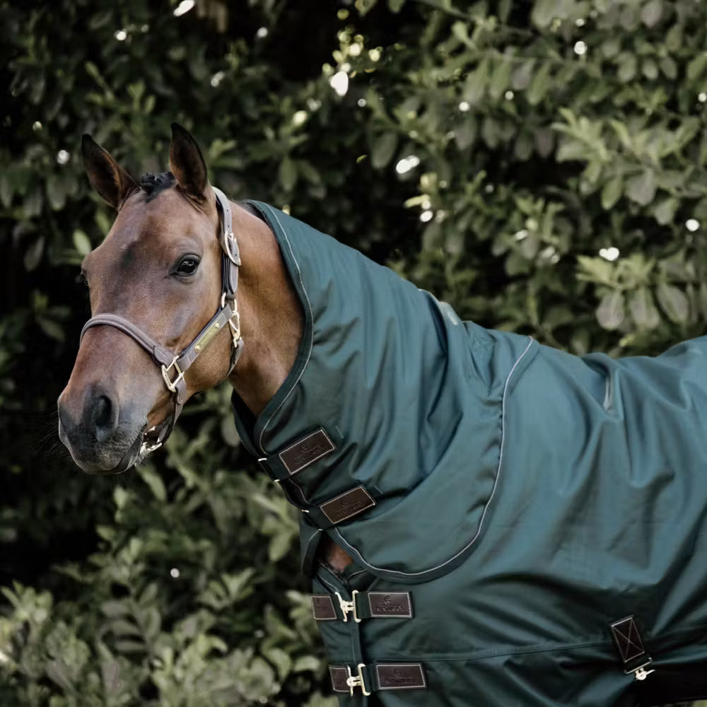 Kentucky All Weather Dækken 160g - Mørk Grøn