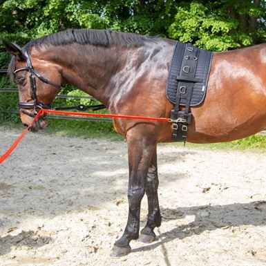 Waldhausen Longe Equibender