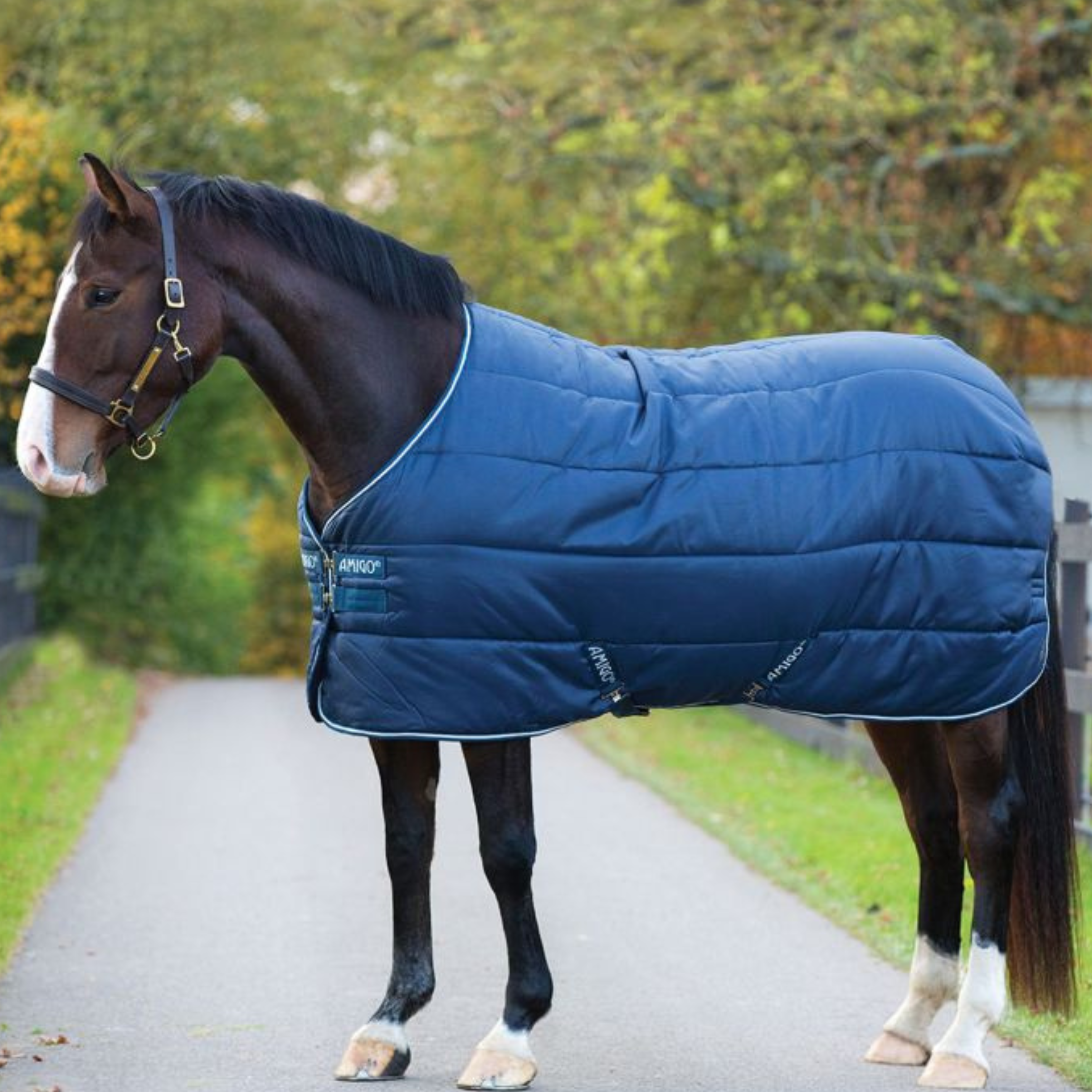 AMIGO Insulator heavy 350g