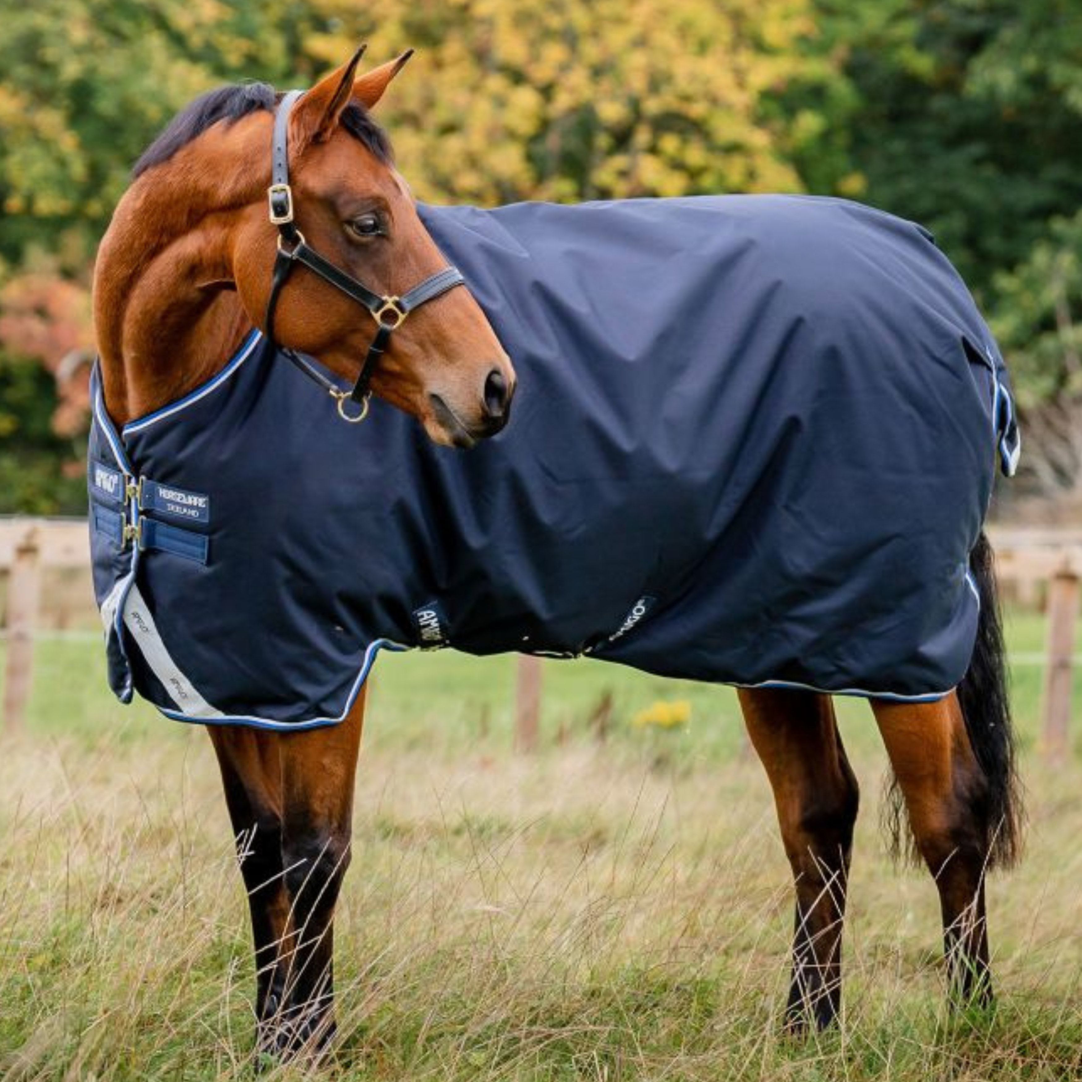Amigo Bravo 1200 Denier Dækken M. 250 Gram. - Navy/Blue/Strongblue