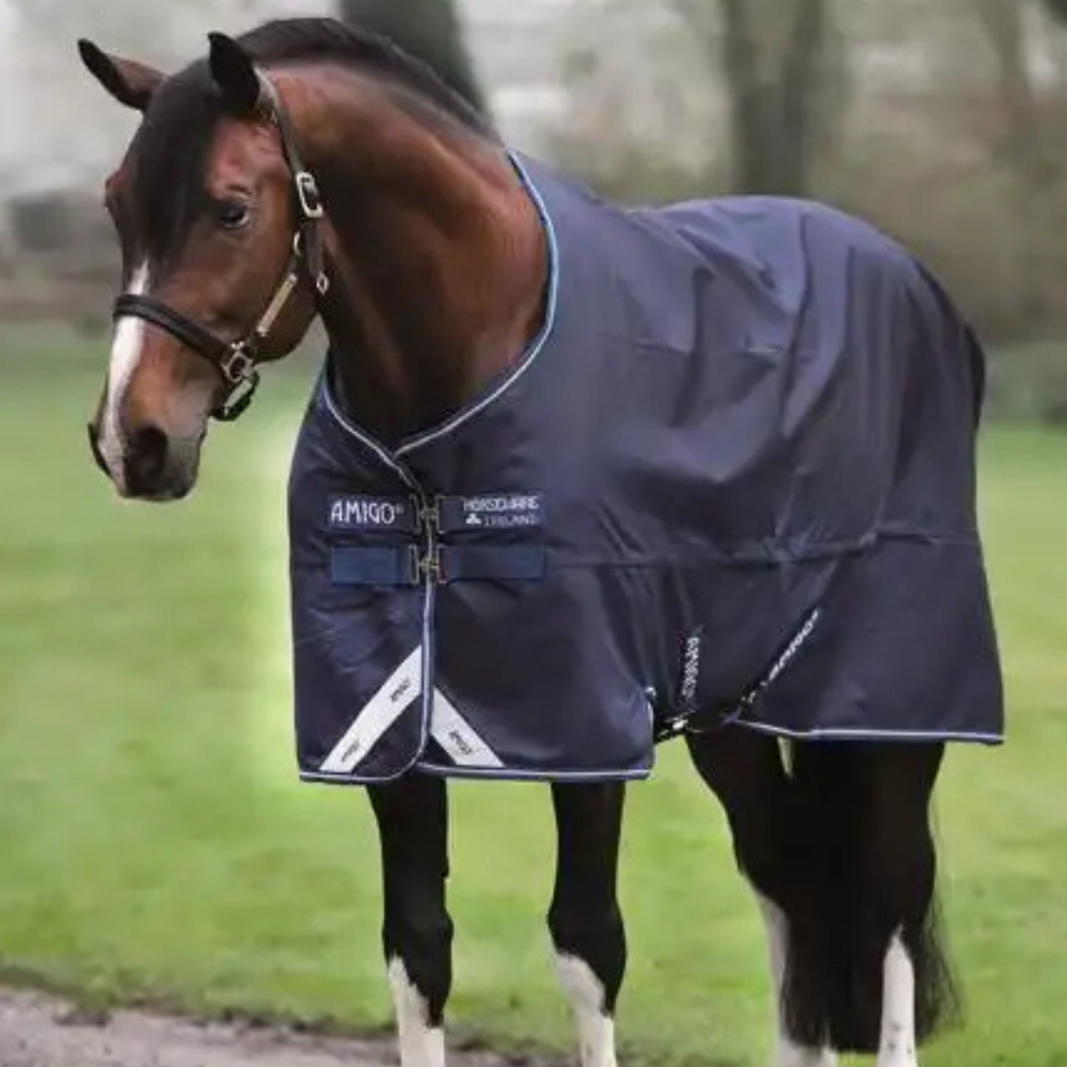Amigo Bravo Lite Regndækken til Pony 1200D, 0g. - Navy