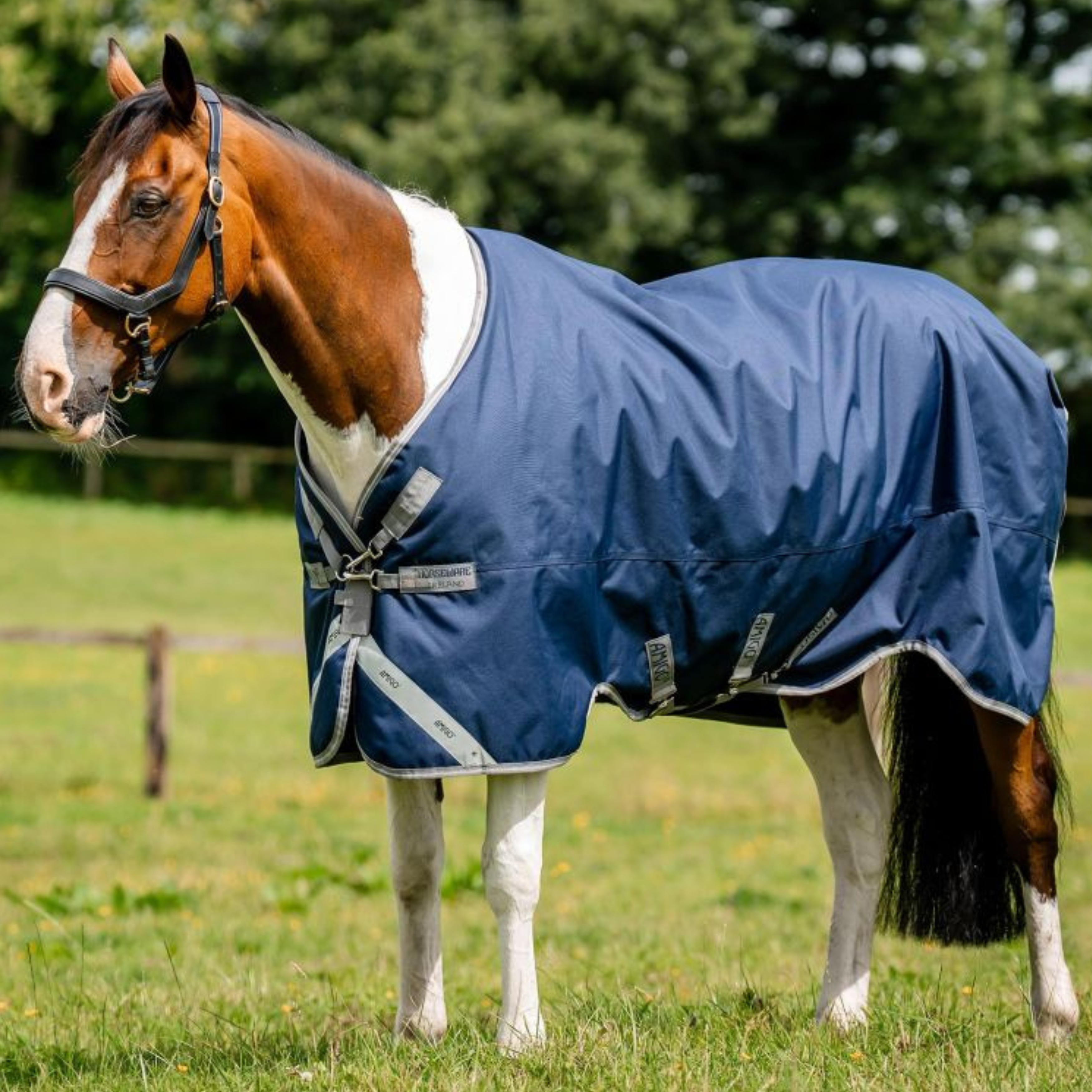 Amigo Bravo XL Turnout medium 250g - Navy/Titanium