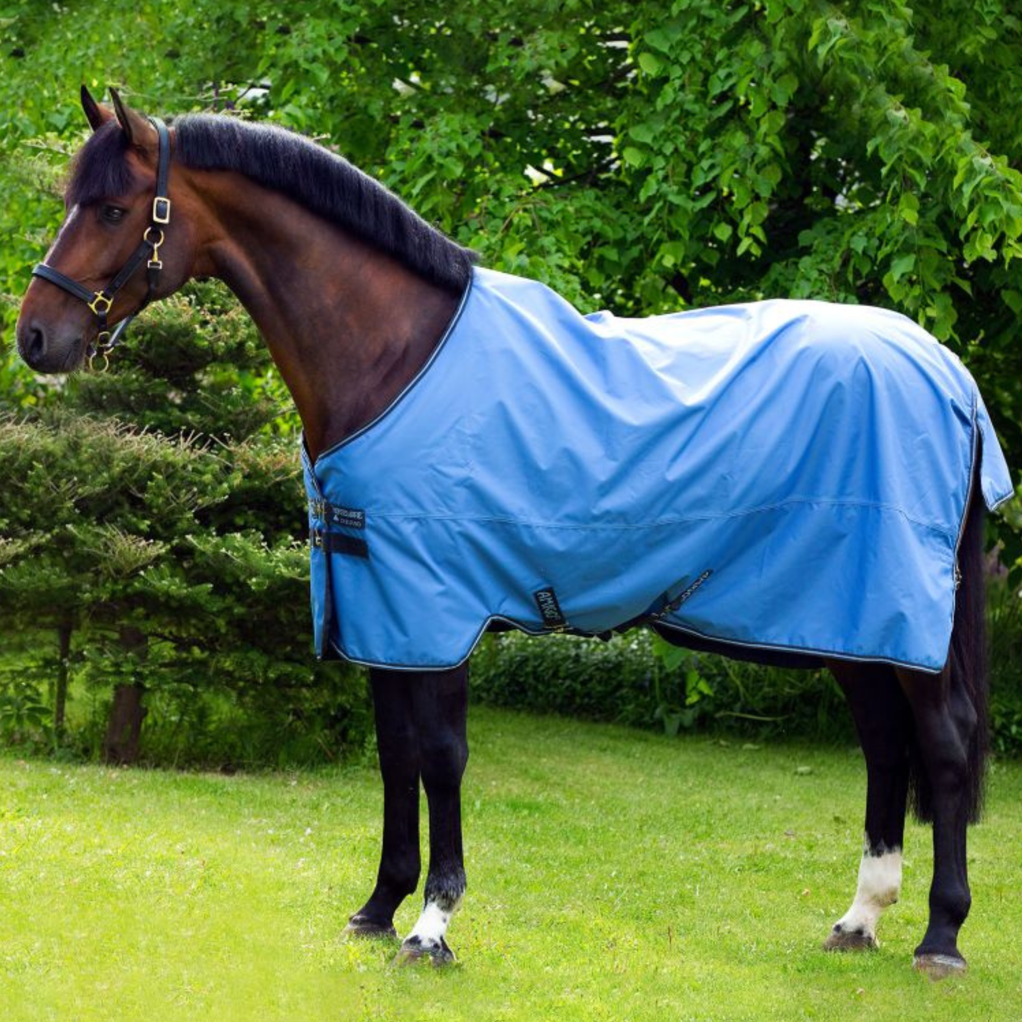 Amigo Hero 900 T/O Lite 50g Dækken
