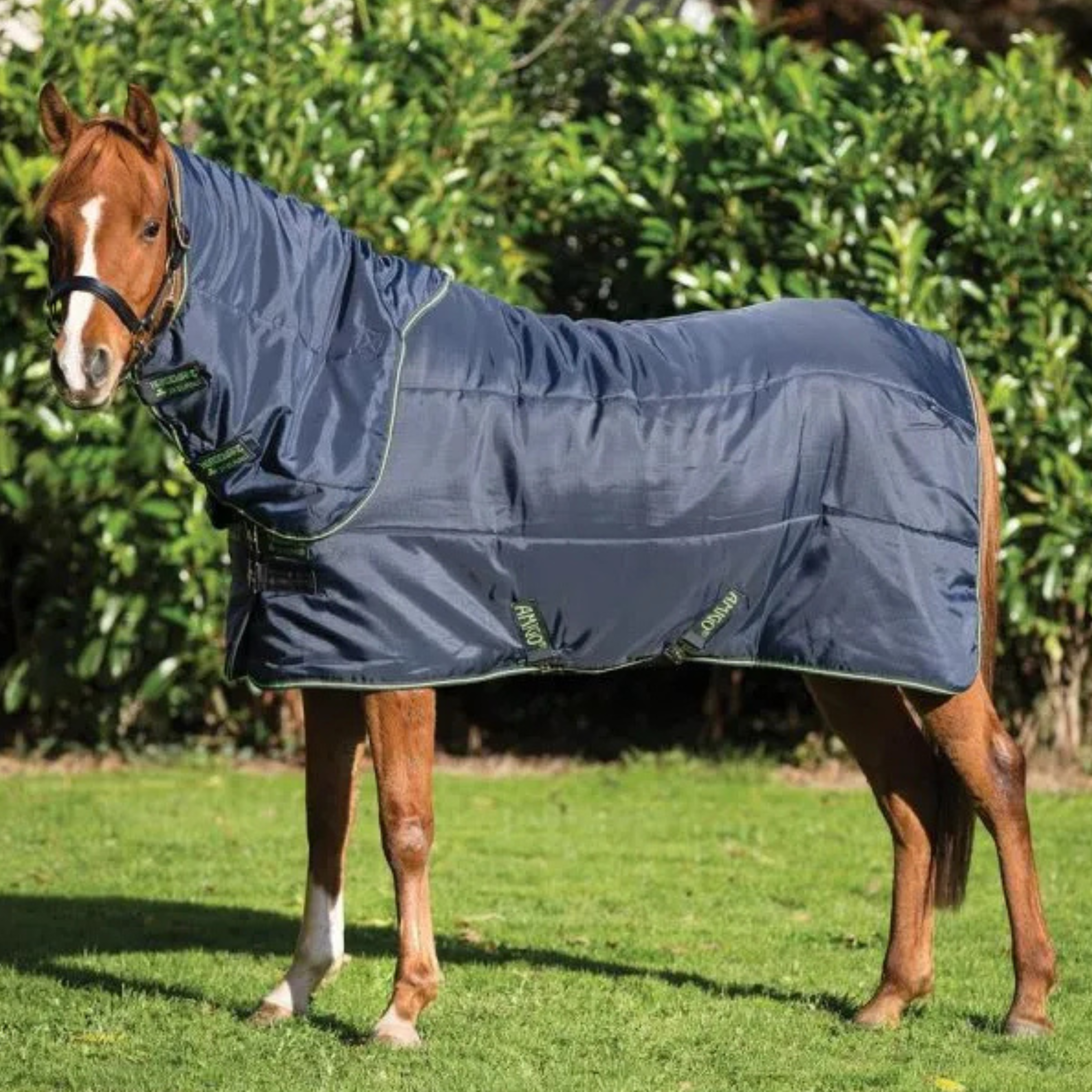 Amigo Insulator Pony Plus 200 Gram