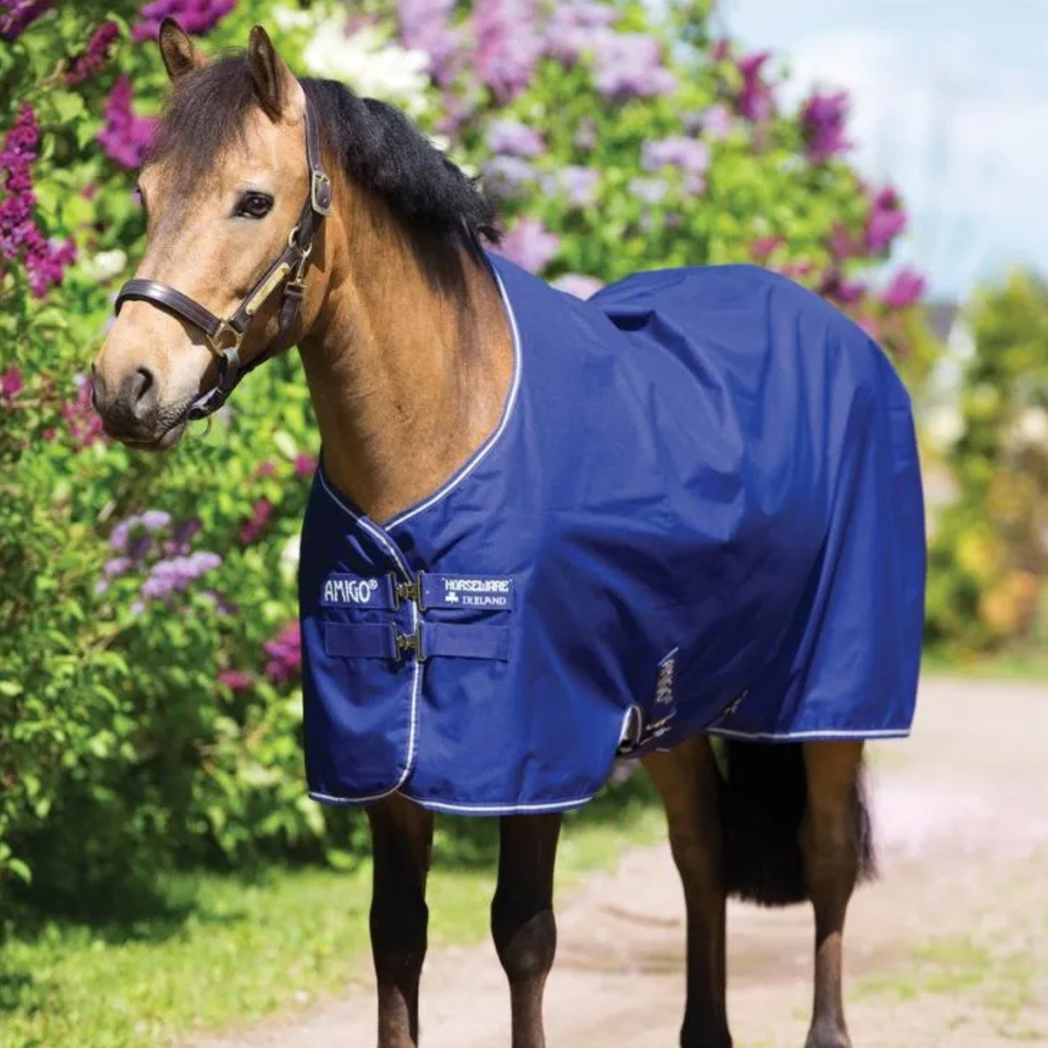 Amigo hero t/o lite PONY