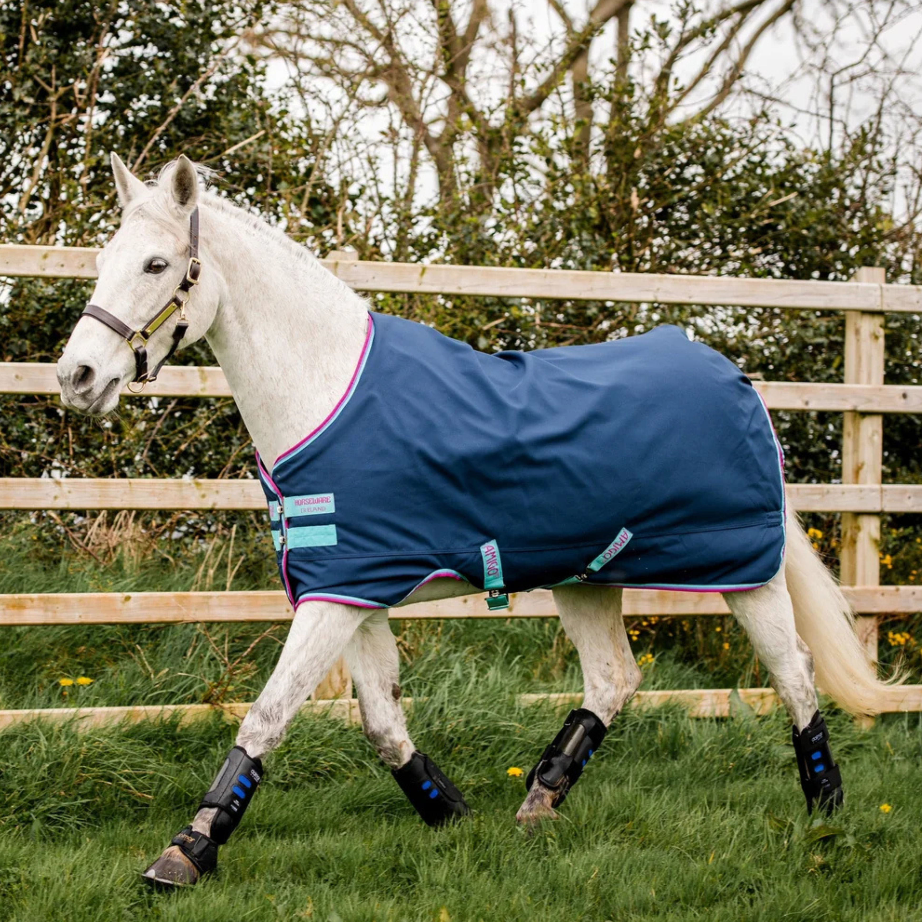 Amingo Hero Lite 900D Regndækken Til Pony - Dark Blue