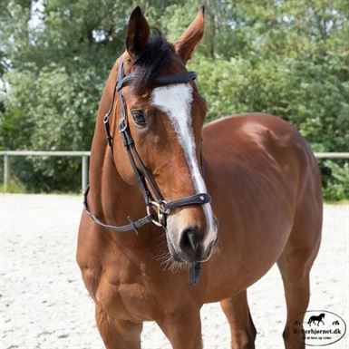 Antares Origin Hannoveransk Trense - Sort