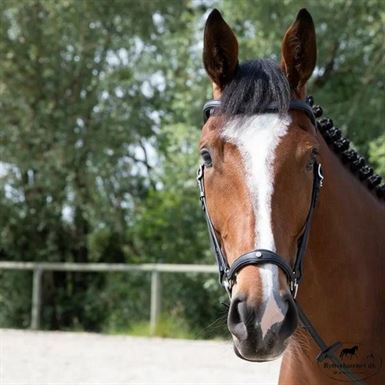 Antares Origin Hannoveransk Trense - Sort