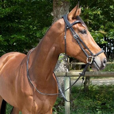 Antares Origin Hannoveransk Trense - Sort