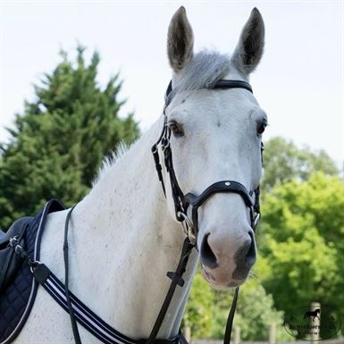 Antares Precision Trense M. Y- Næsebånd - Sort