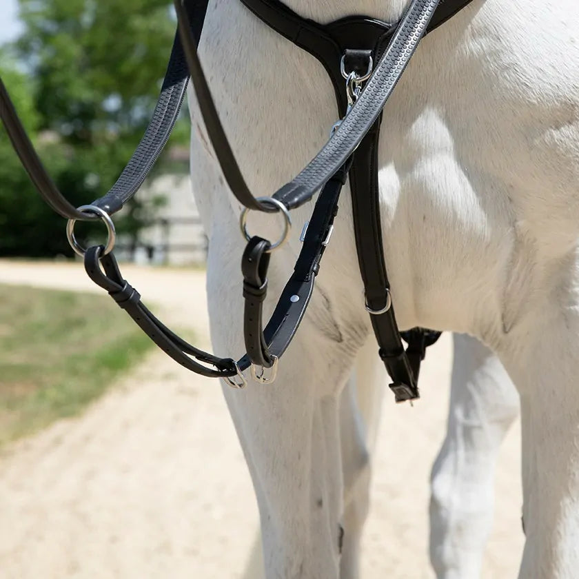 Antares Løs Martingal