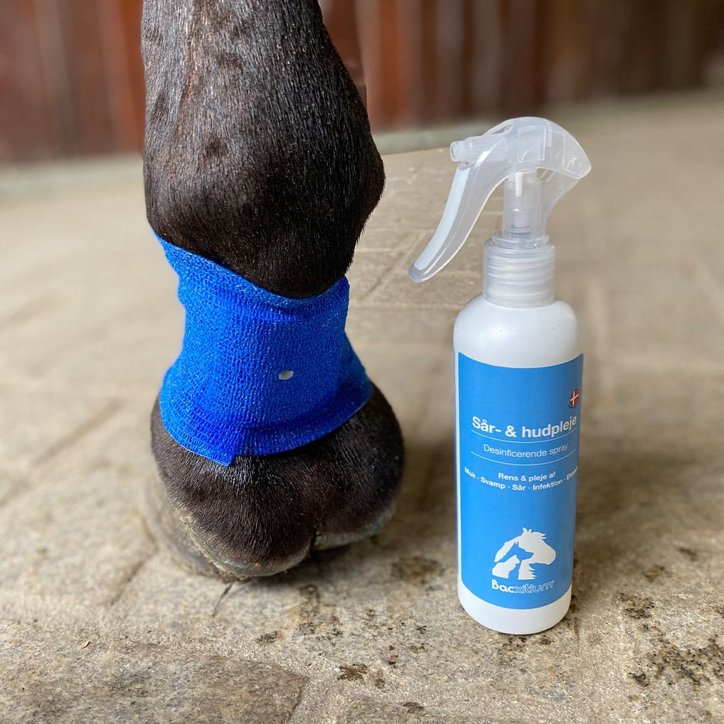 Bacxitium Ben/Mukplaster