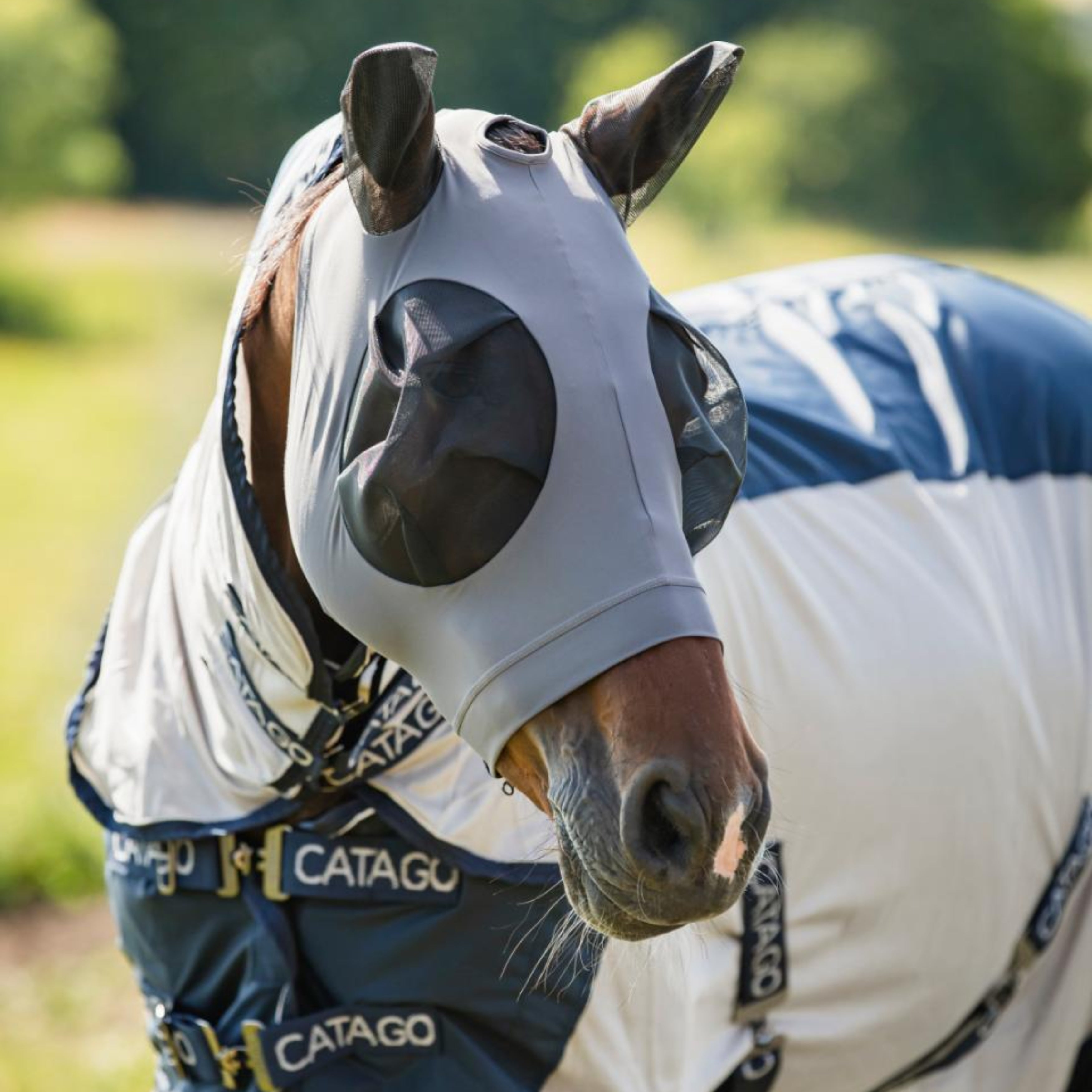 CATAGO Fluemaske