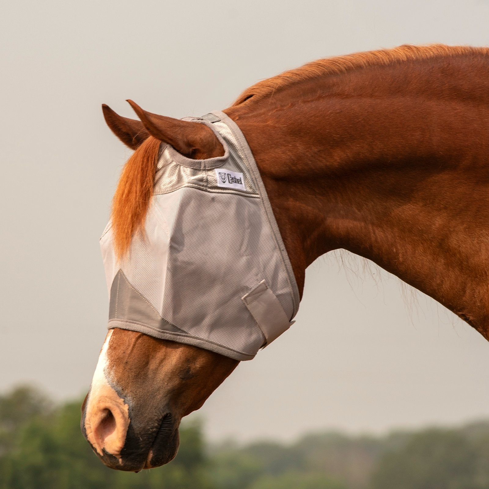 Cashel UV Fluemaske u. Ører & u. Mule