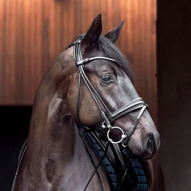 Catago Shay Rundsyet Trense - sort