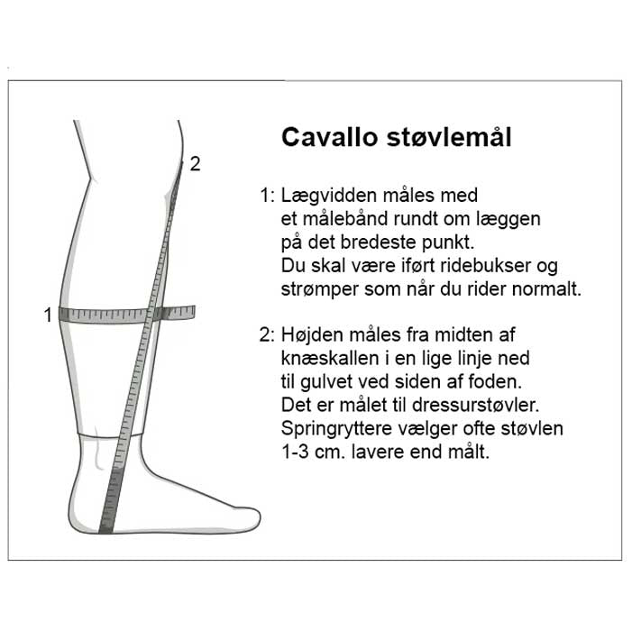 Cavallo Linus Dressage