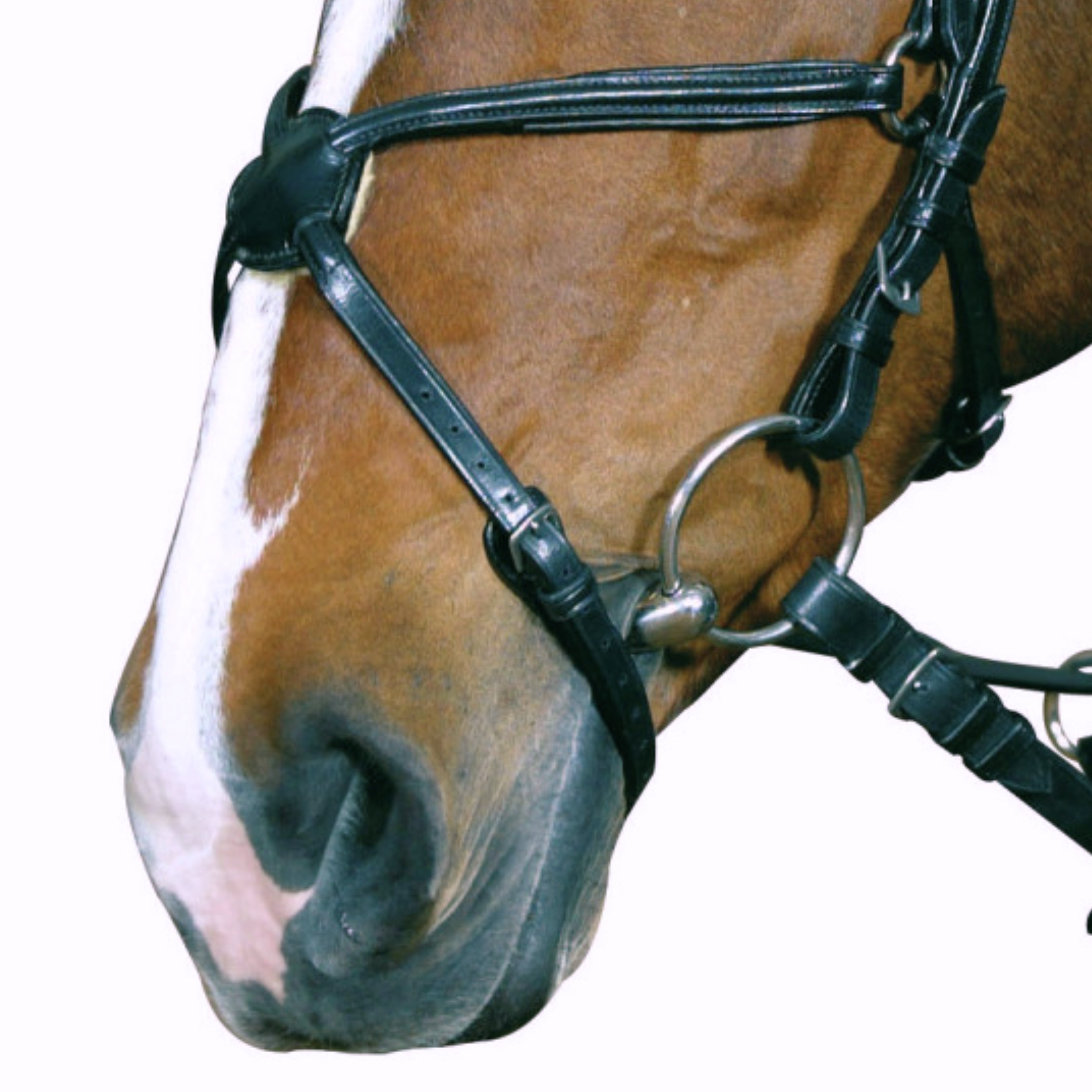 Cheval Mexicansk Næsebånd