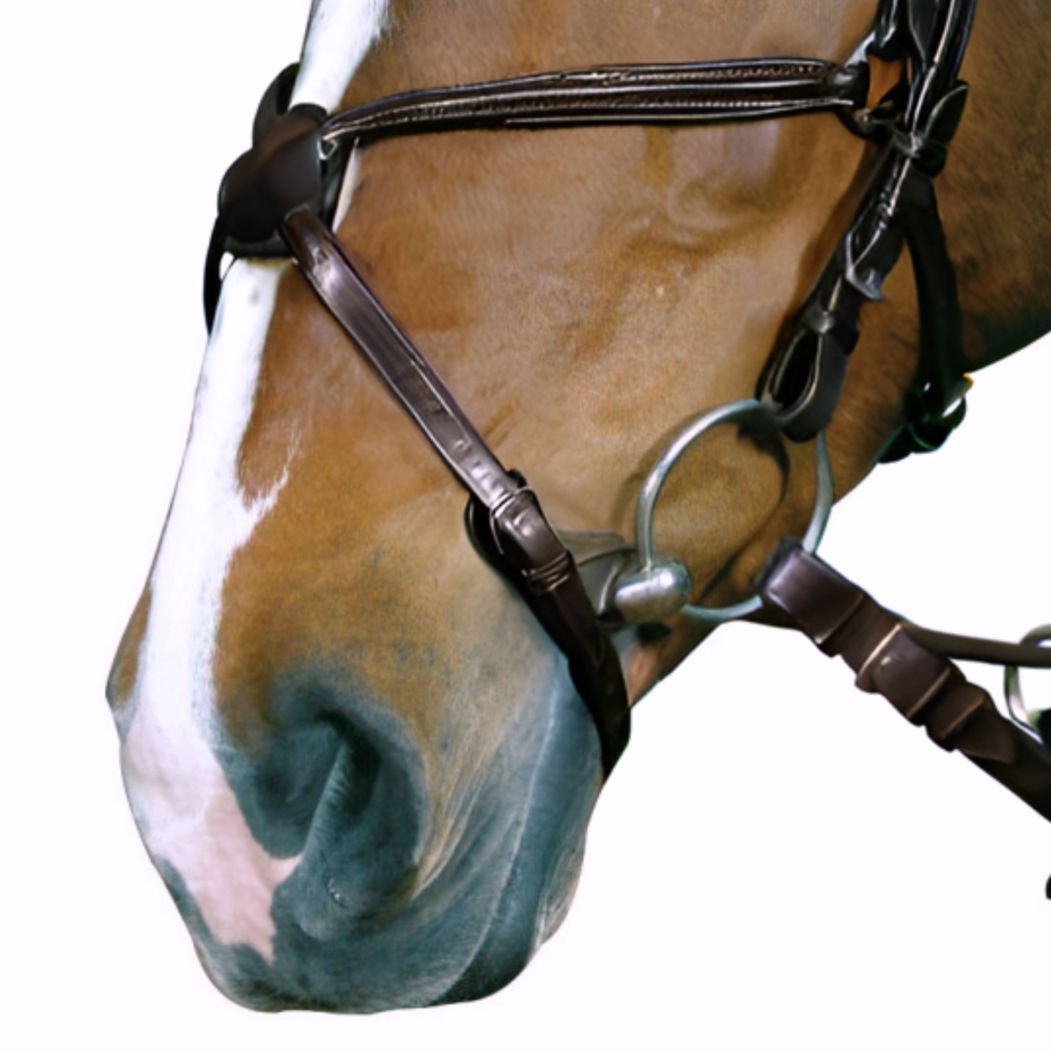 Cheval Mexicansk Næsebånd