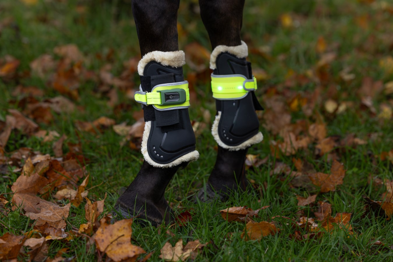 Covalliero Refleksbånd m. LED