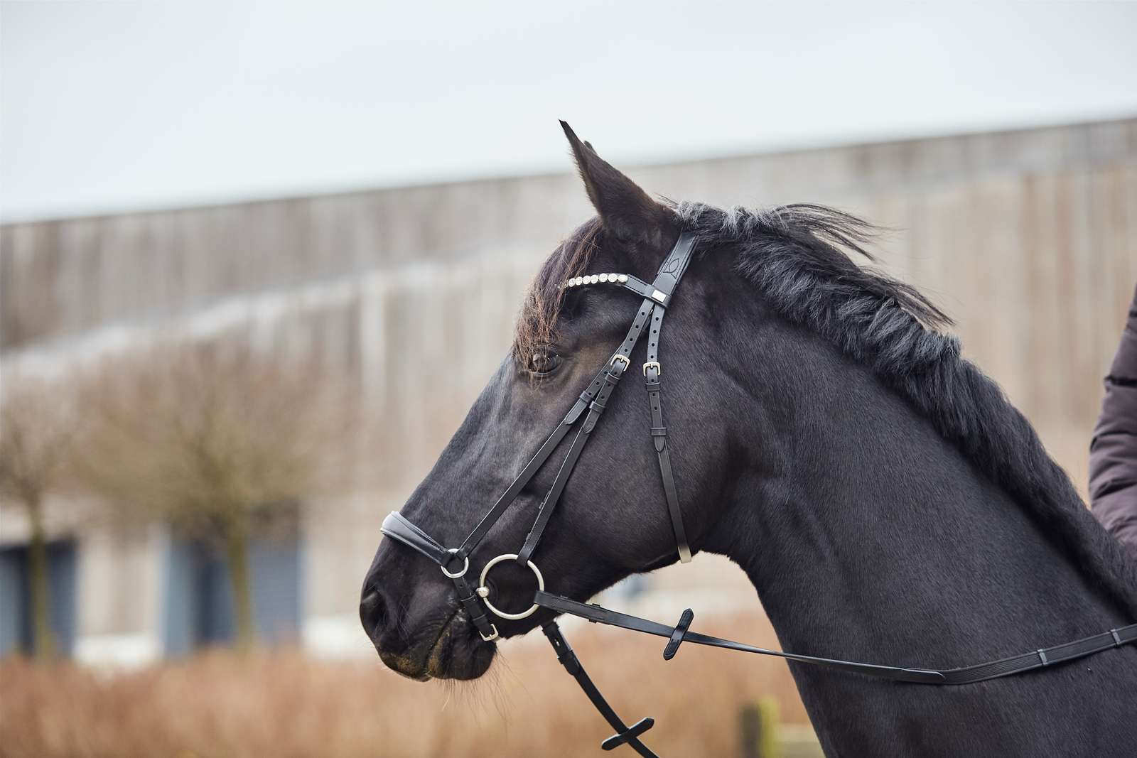 HorseGuard Cryll Trense m. Hannoveransk Næsebånd - sort