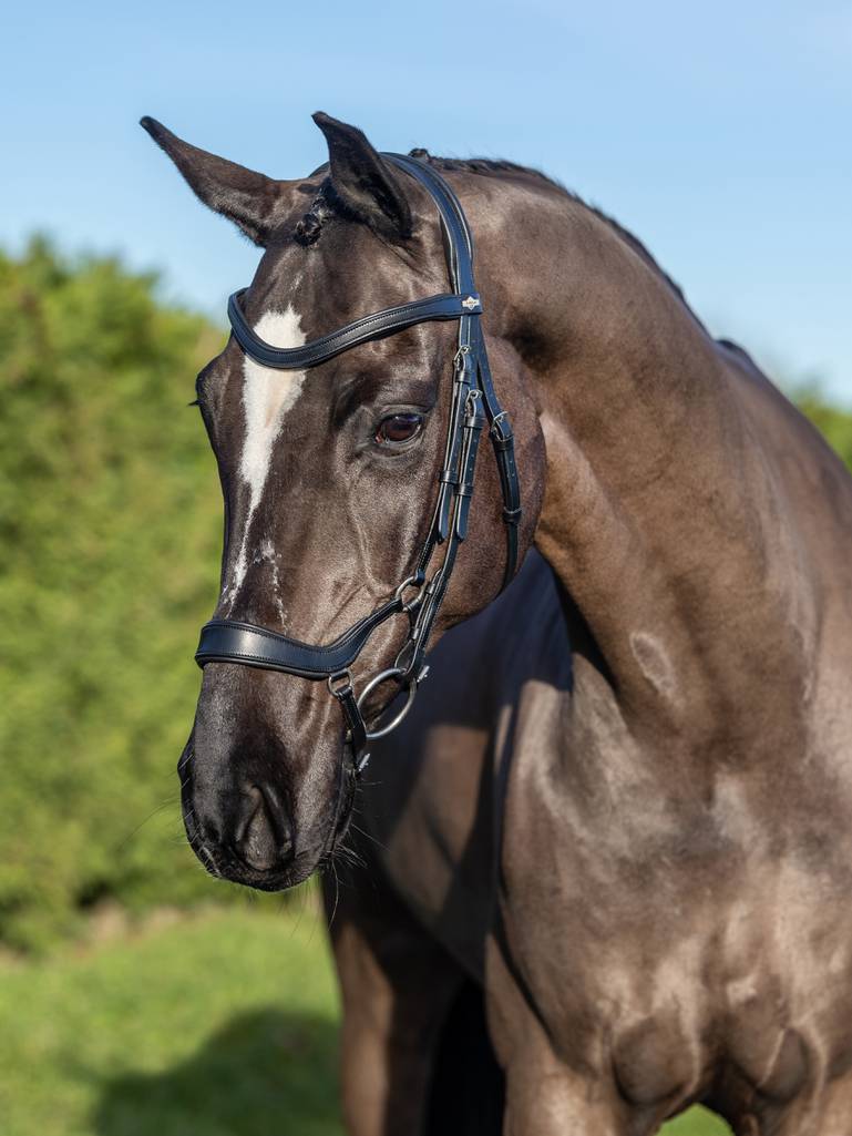 LeMieux Arika Drop Trense - Sort/Sølv
