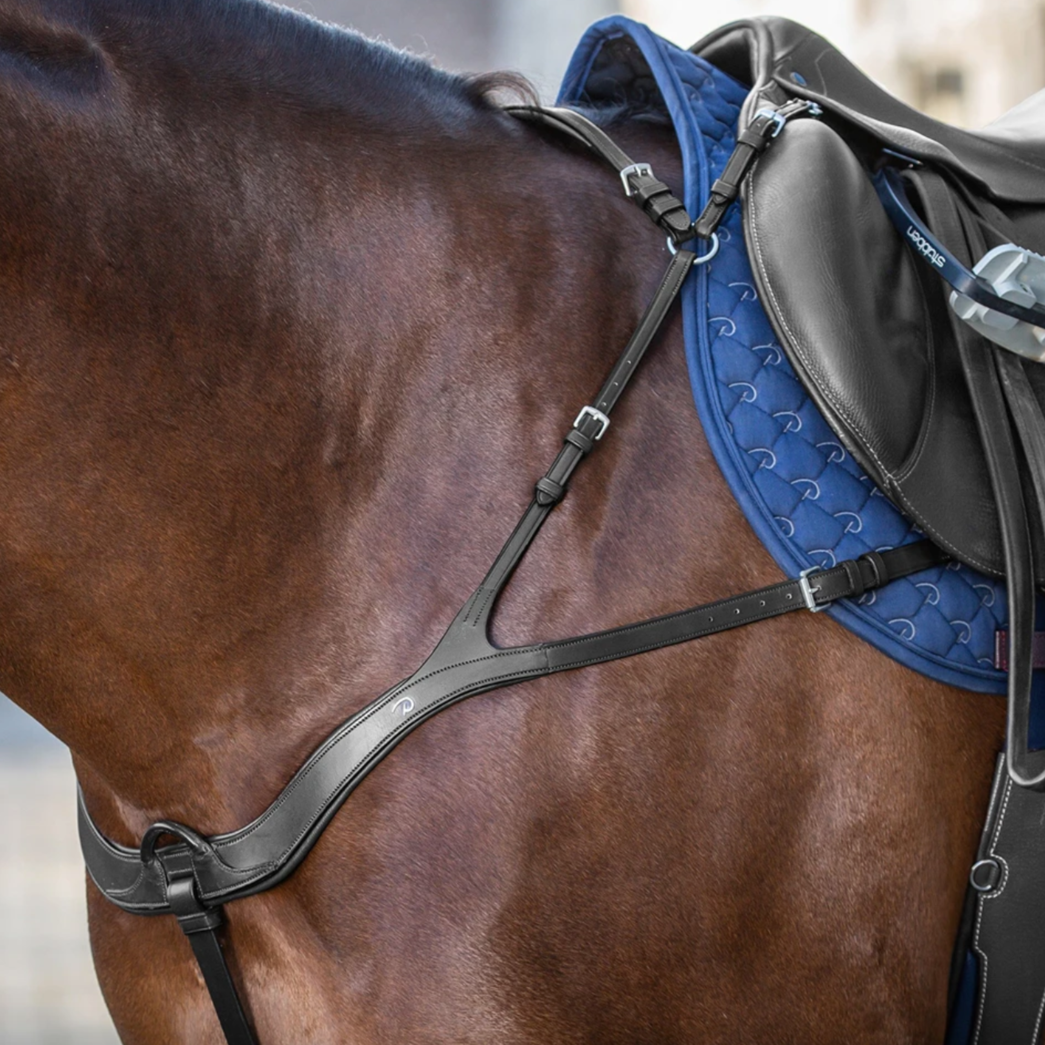 Dyon Anatomisk 5 Punkts Fortøj - Sort/Stål