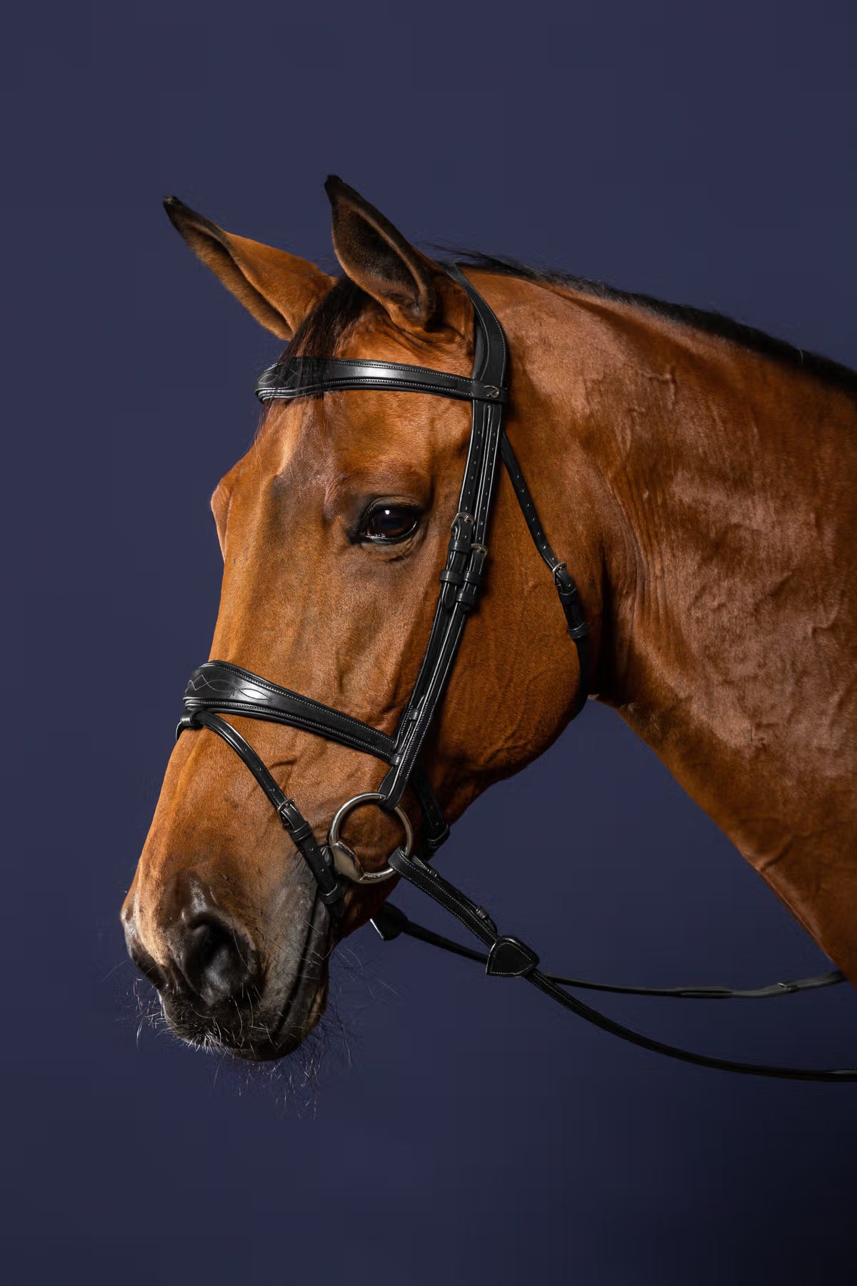 Dyon Trense Med Anatomisk Nakkestykke - Sort