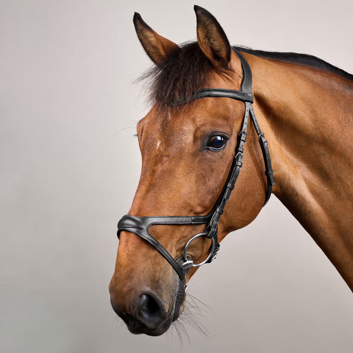 Dyon X-Fit Anatomisk Trense