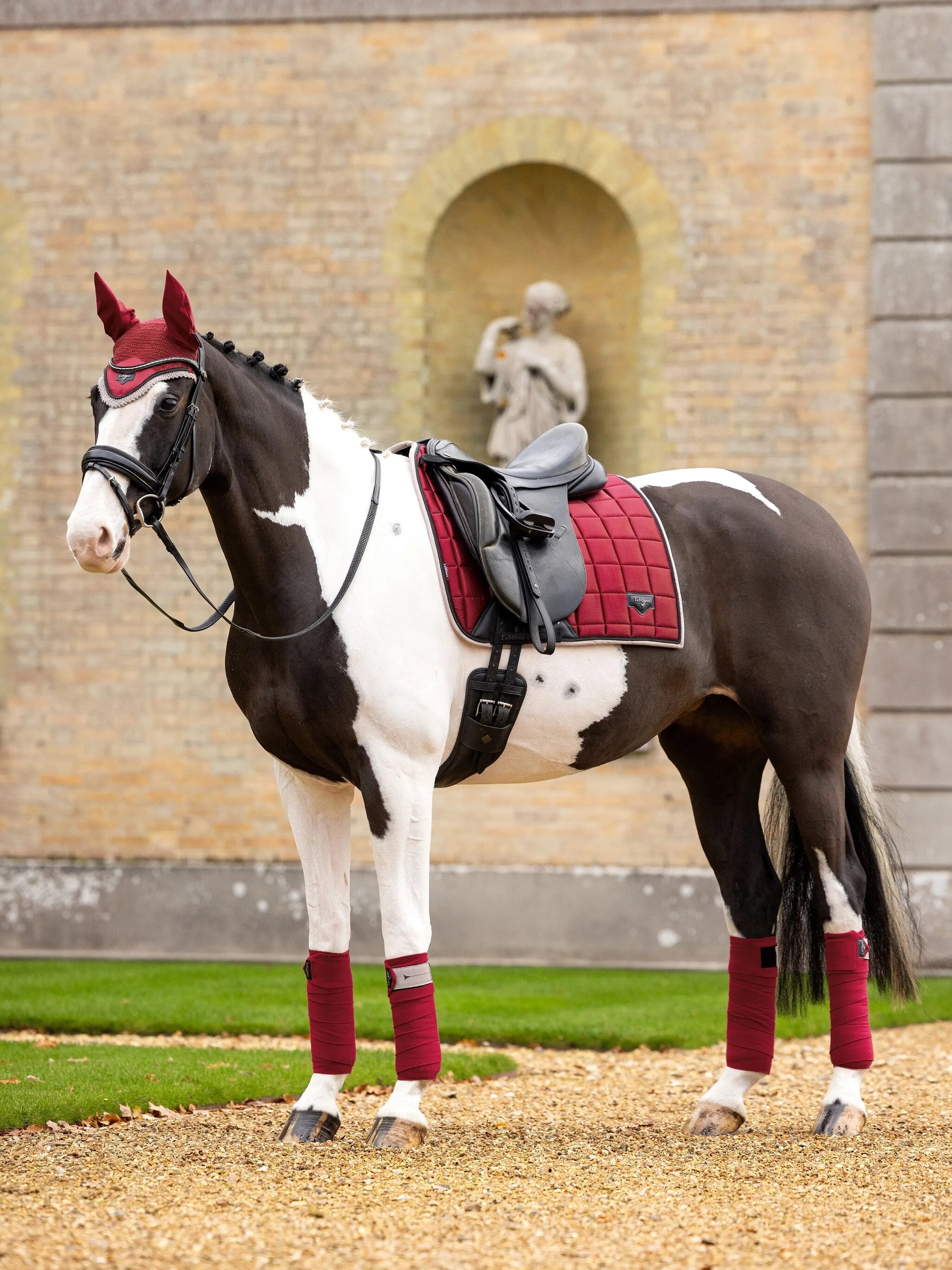 LeMieux Loire Dressurunderlag - Ember
