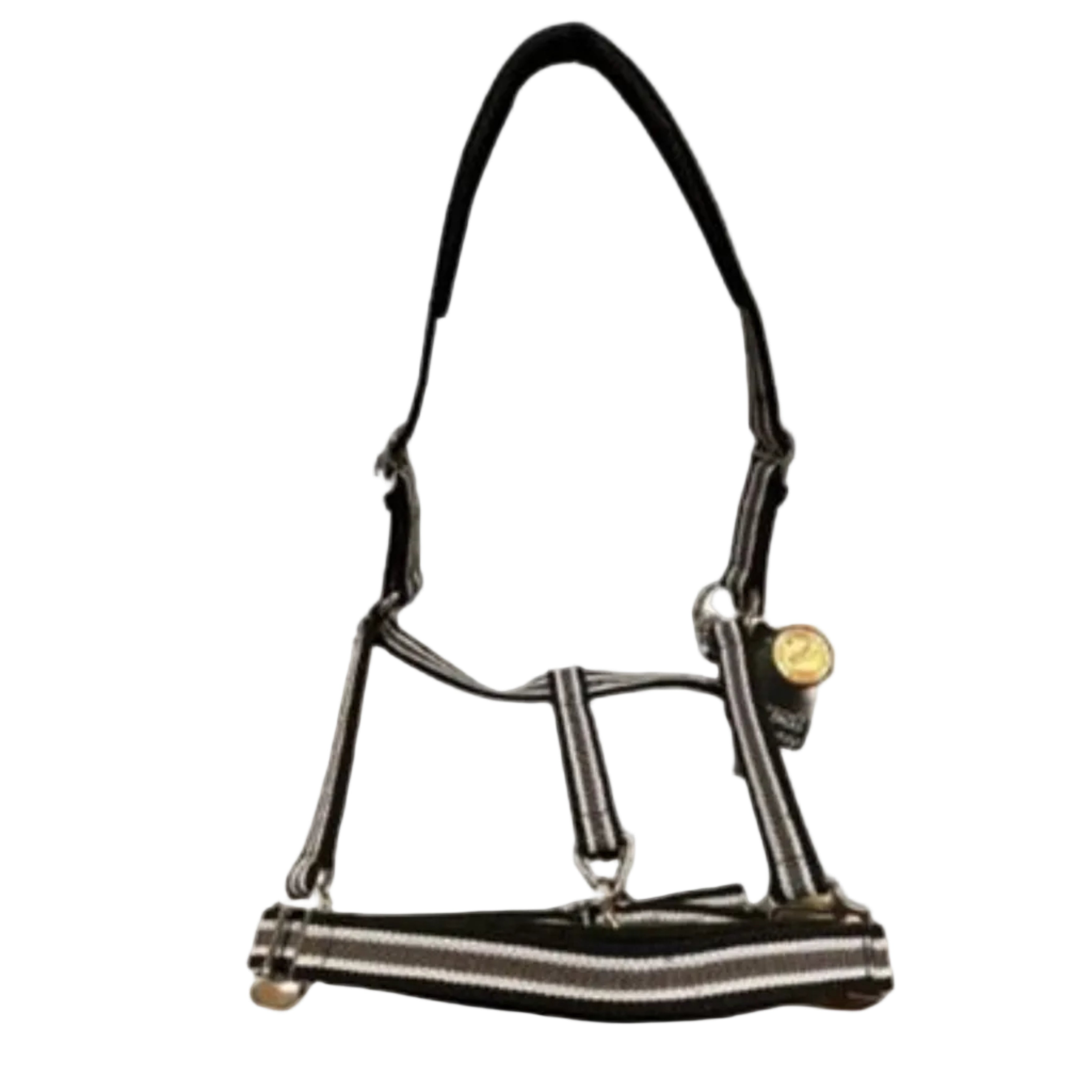 Equest Vario Plus Nylon Grime - Moonstone/Anthracite