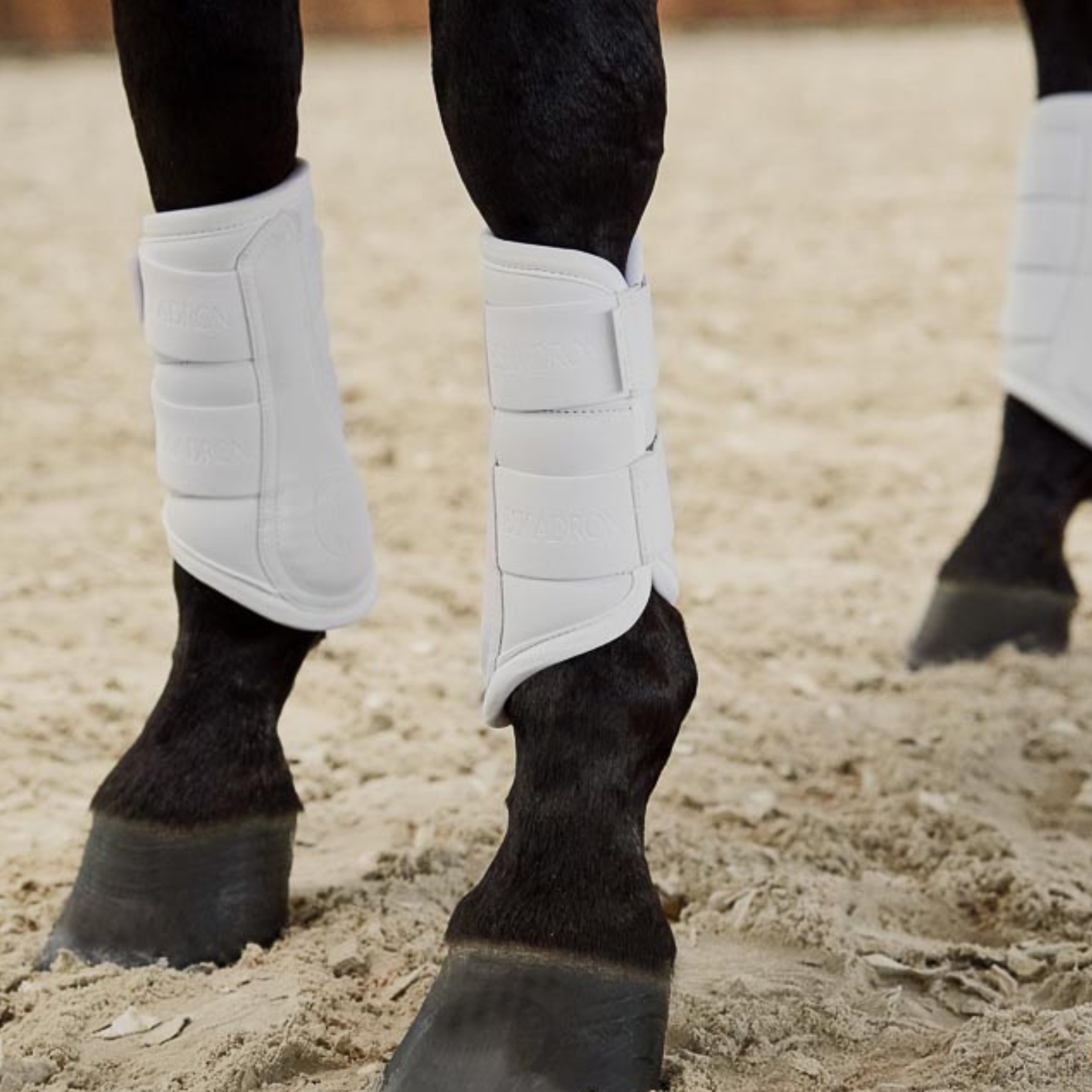 Eskadron Platinum Tendon Faux Læder Gamache - Hvid