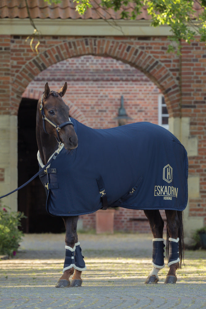 Eskadron Heritag Aerial Jersey Sveddækken