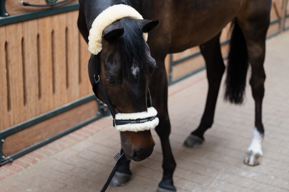 Eskadron Lammeskinds Grime