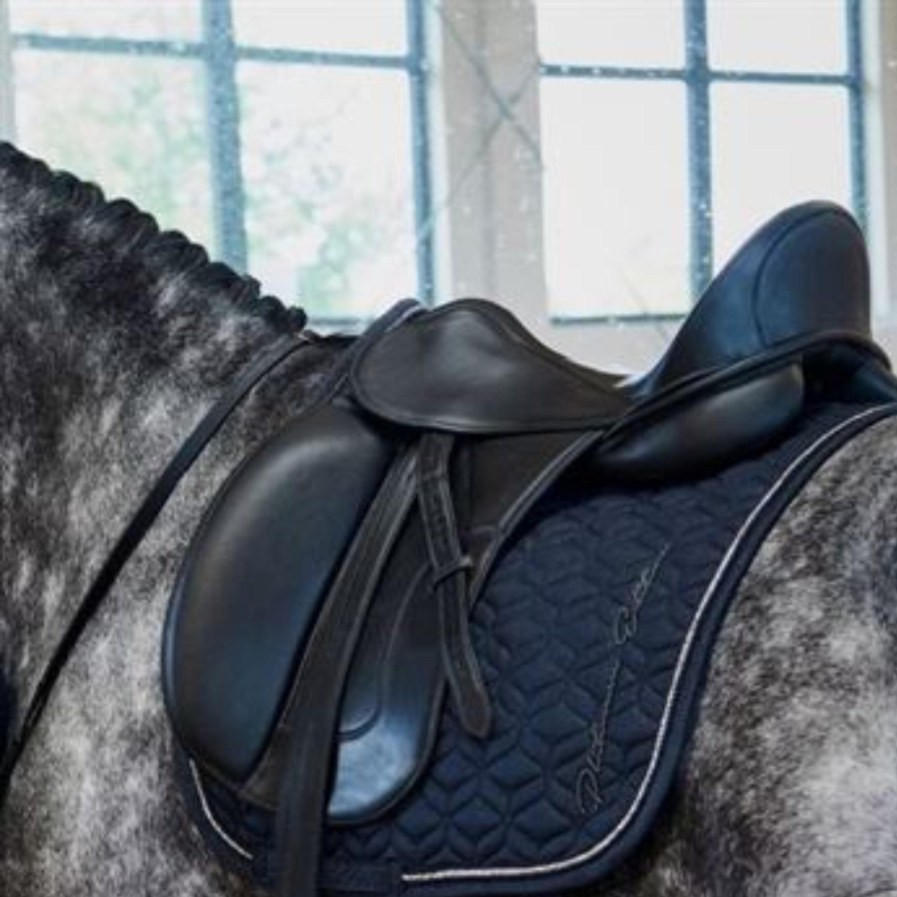 Eskadron Sparkel Dressurunderlag Platinum 22 - Navy