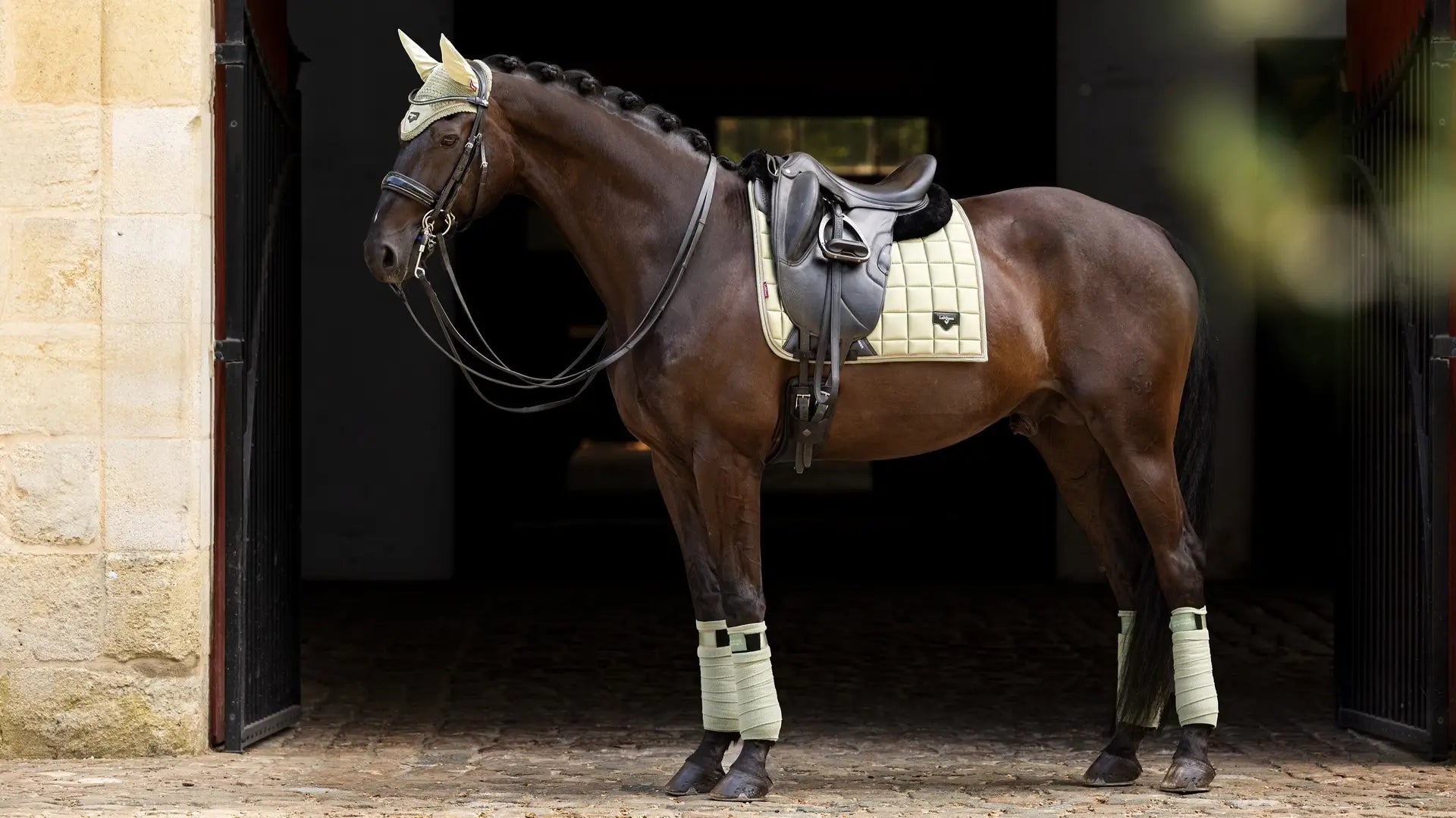 LeMieux Loire Classic Dressurunderlag - Fern