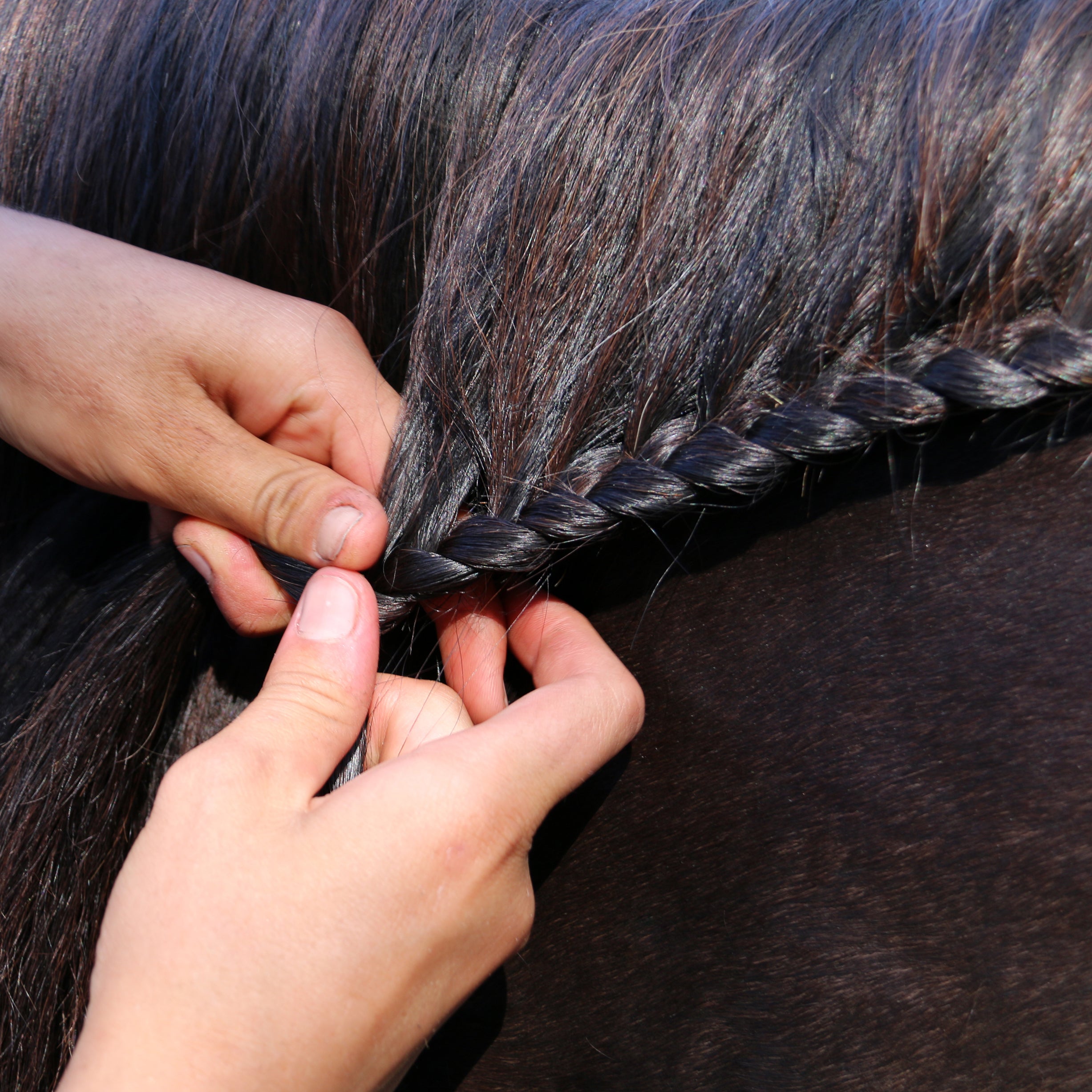 Nathalie H Strong Hold Plait - 250 ml