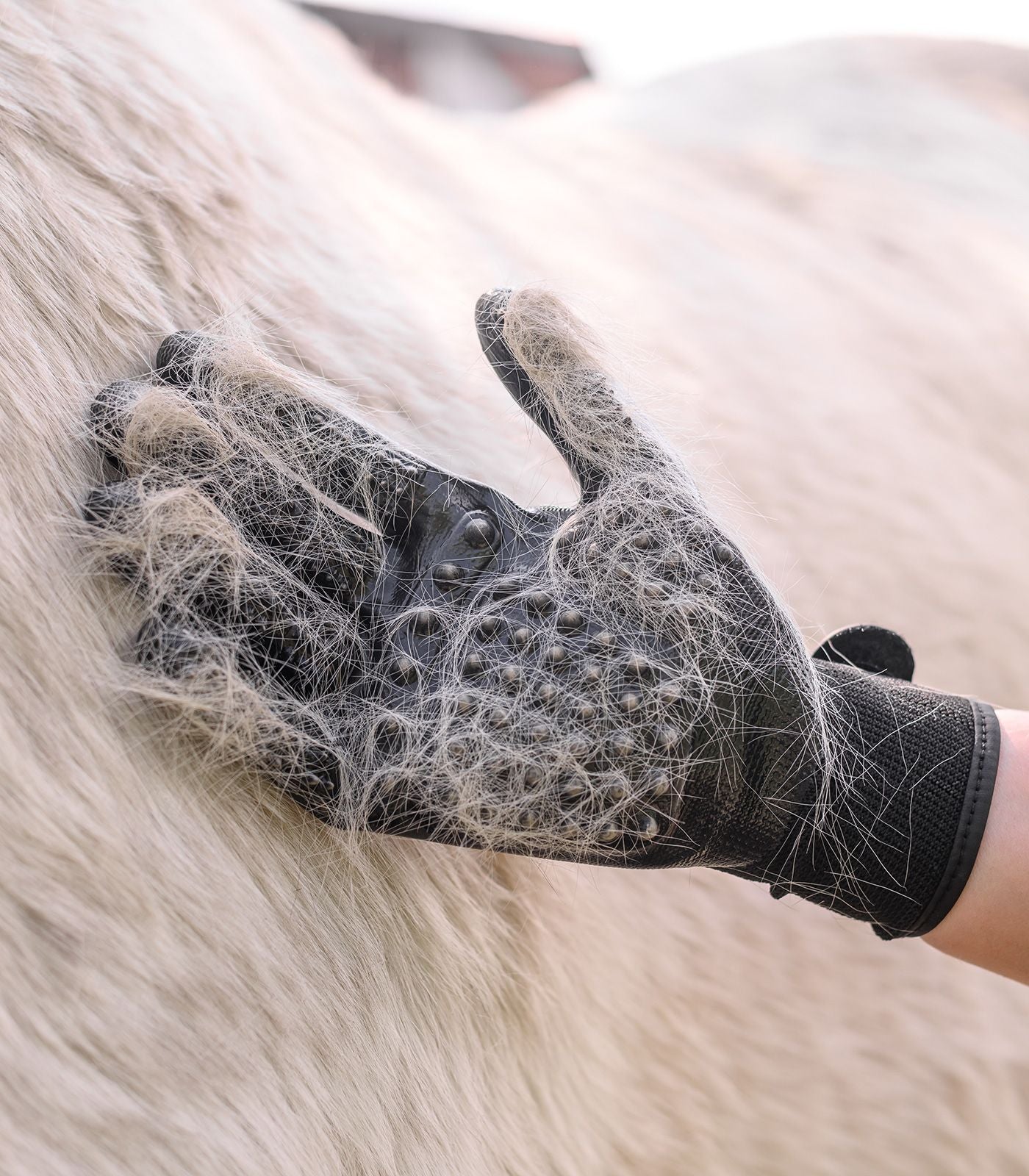 Waldhausen Grooming Handske - Sort