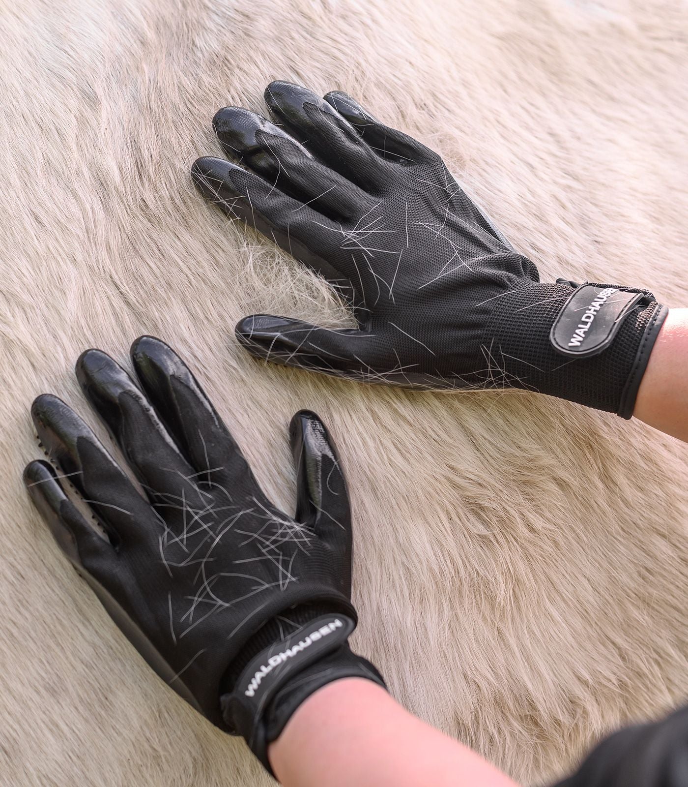 Waldhausen Grooming Handske - Sort