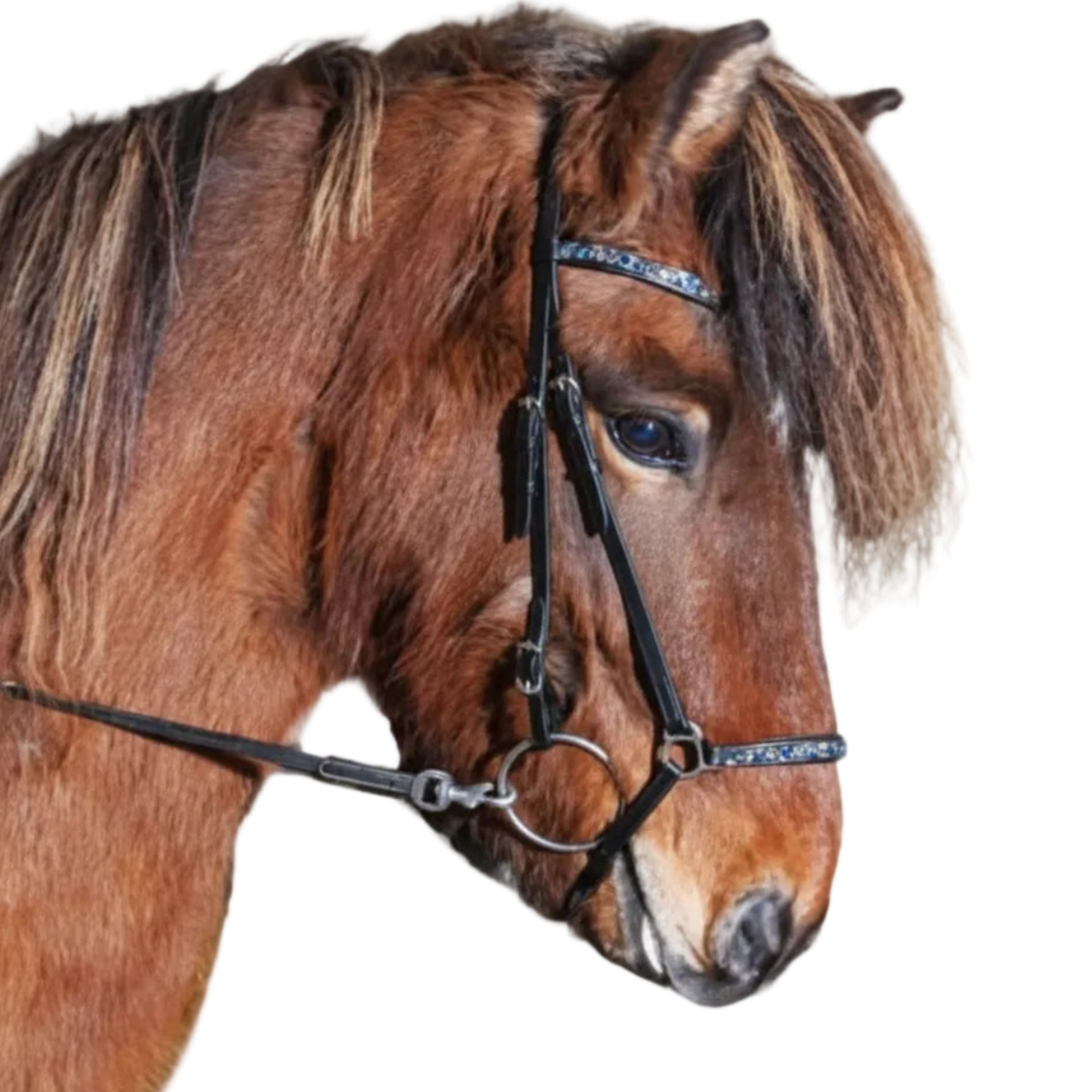 Hesta Gallery Rockstone Næserem M. Blå Sølv Sten