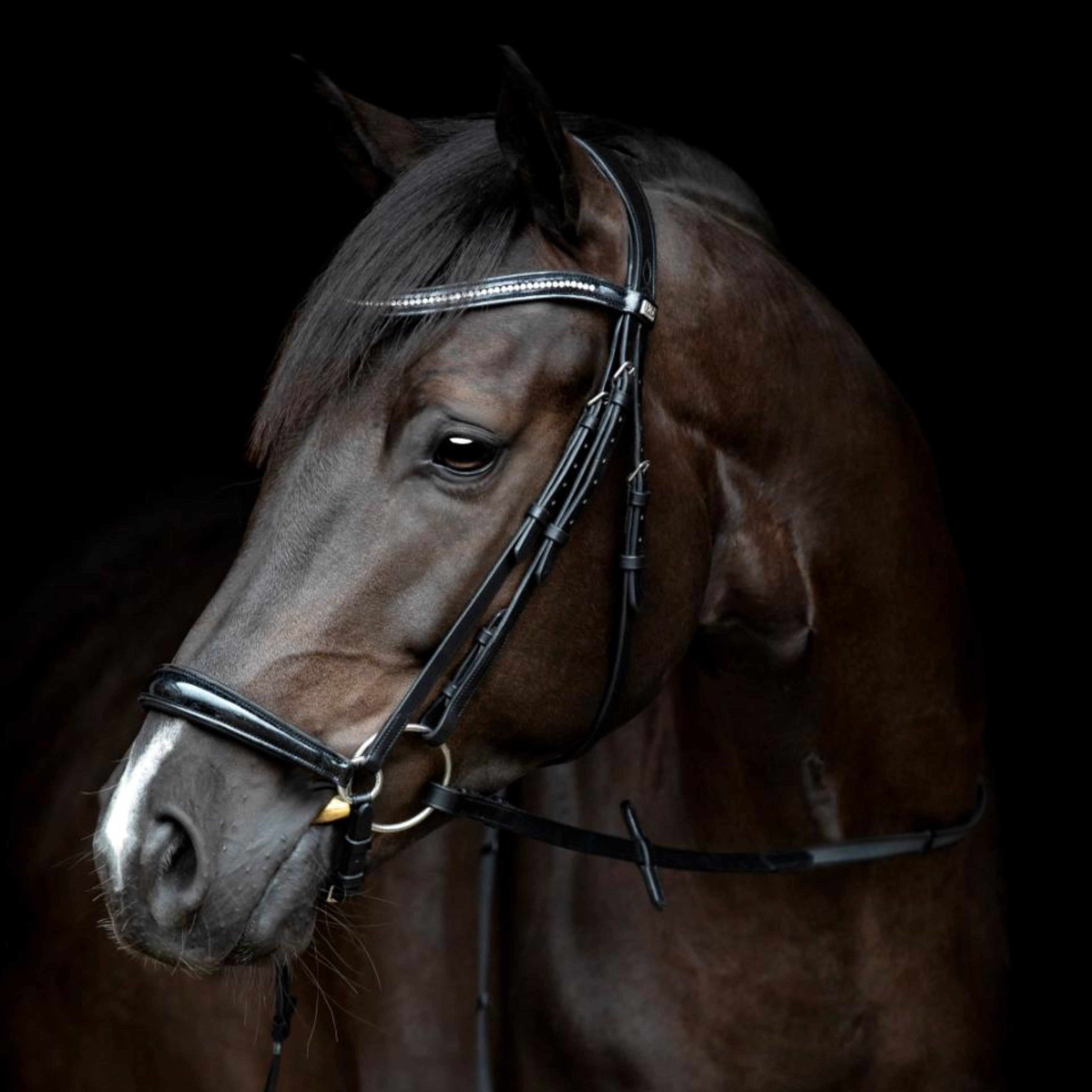 HorseGuard Crystal Trense M. Aachner Næsebånd - Sort