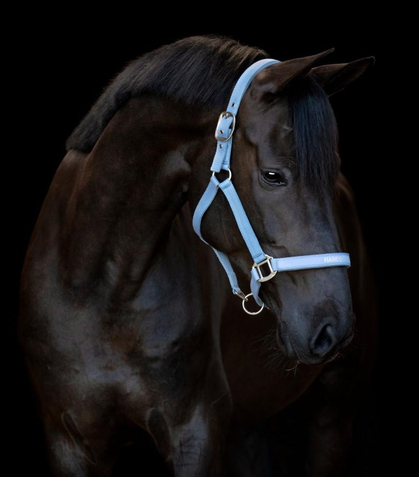 HorseGuard Malva Grime - Coronet Blue